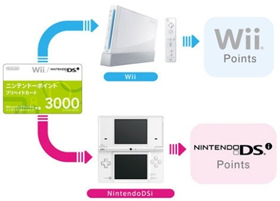 Wii and DSi points kept separately