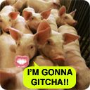 Swine Flu at PAX
