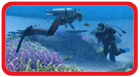 Endless Ocean review