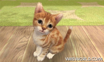 Nintendogs + cats screenshot