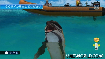 Endless Ocean 2 screenshot