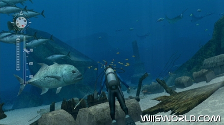 Endless Ocean 2 screenshot