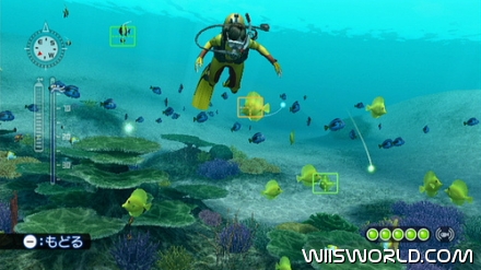 Endless Ocean 2 screenshot