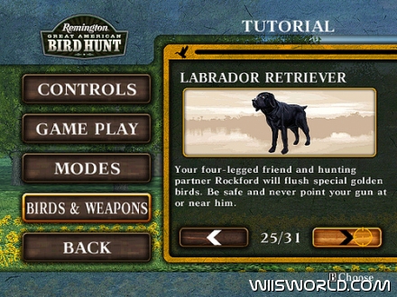 Remington Great American Bird Hunt screenshot