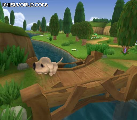 The Dog Island screenshot