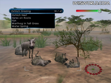 Wild Earth: African Safari screenshot