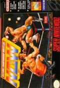 Natsume Championship Wrestling  cover