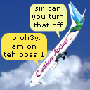 DS banned on flights