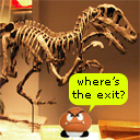 Escape the Museum