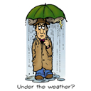 Weather Channel online
