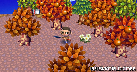 Animal Crossing: City Folk screenshot