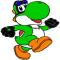 Avatar for the_yoshi